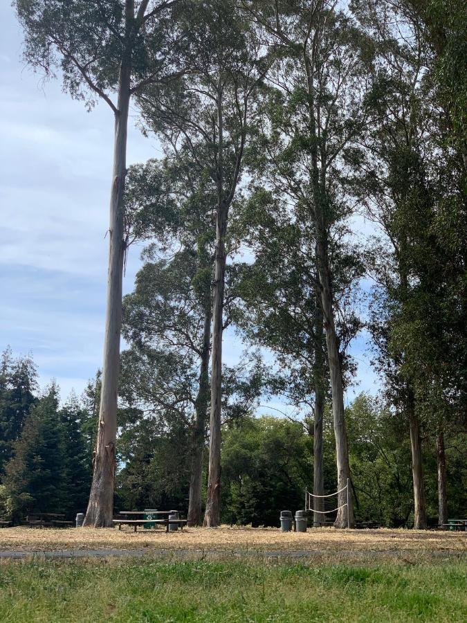 Your Most Romantic And Peaceful Getaway El Sobrante Exteriér fotografie